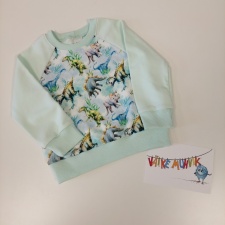 Dressipluus münt dino