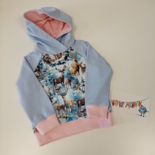 Dressipluus talvine loodus