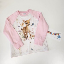 Dressipluus heleroosa kitseke