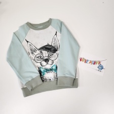 Dressipluus lipsuga ilves