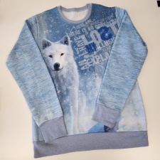 Dressipluus sinine hunt