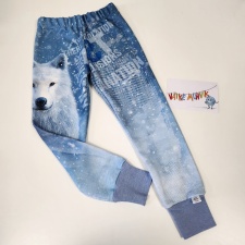 Dressipüksid talvine hunt