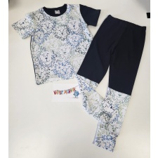 Komplekt mustvalge lõvi